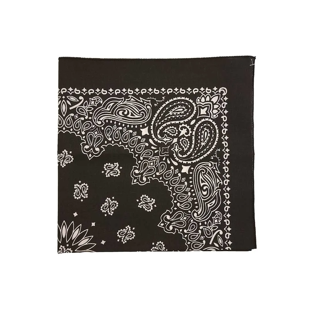 Austin Accent Paisley Print Bandana