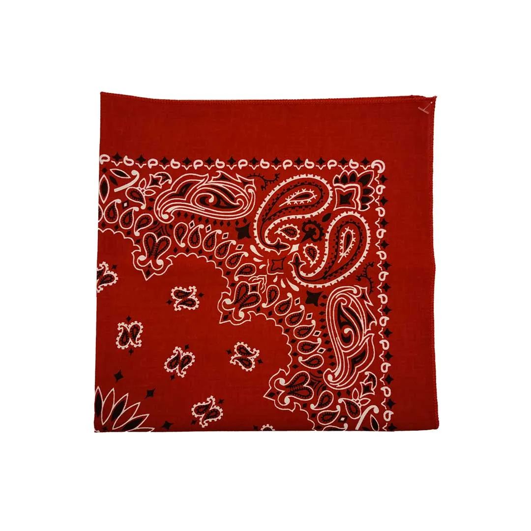 Austin Accent Paisley Print Bandana