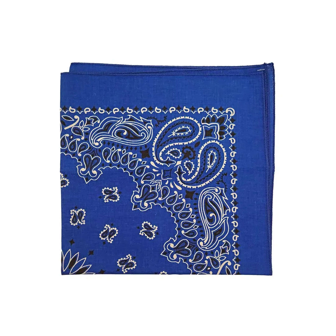 Austin Accent Paisley Print Bandana