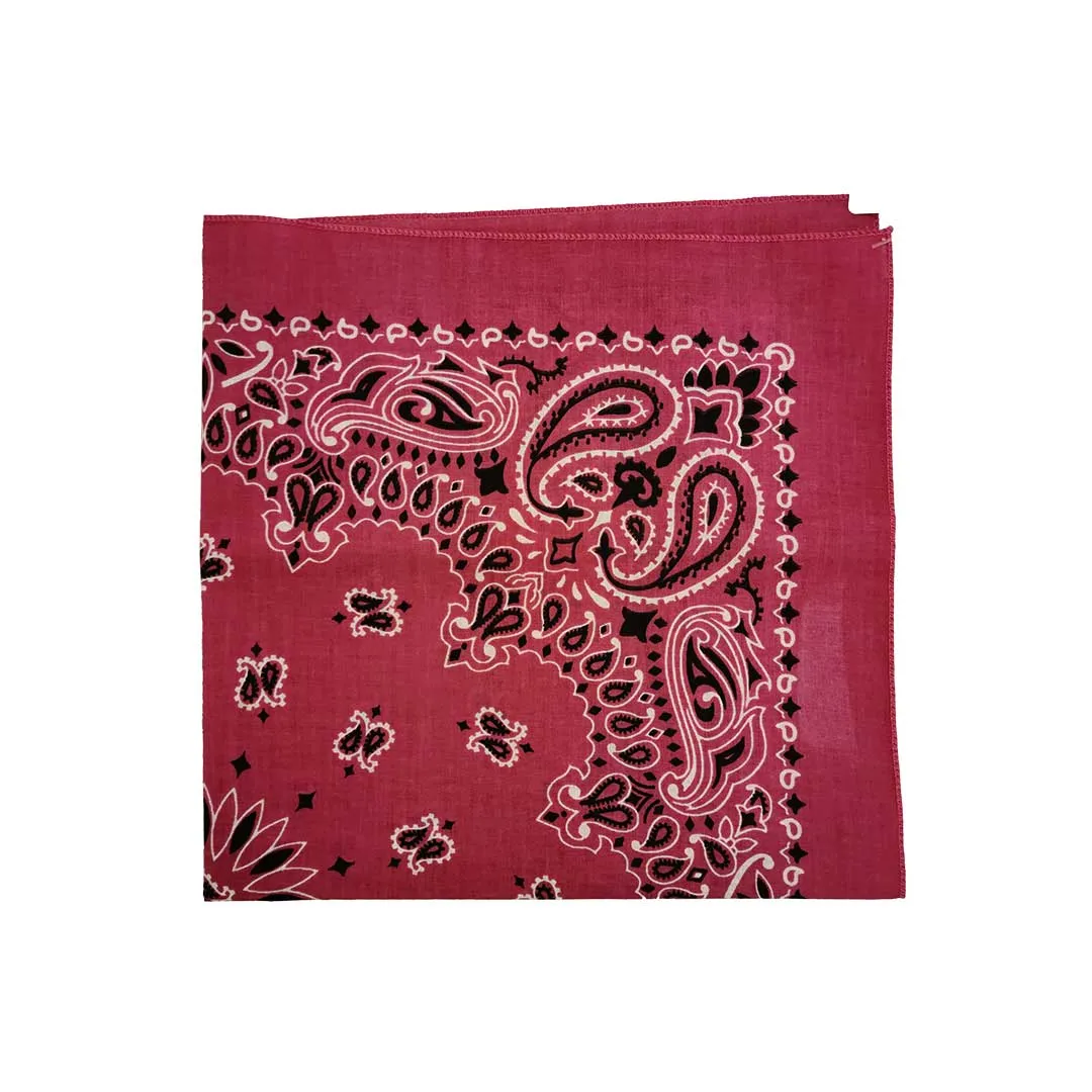 Austin Accent Paisley Print Bandana