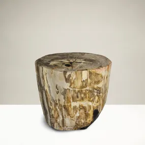 Petrified Wood Round Stump / Stool from Indonesia - 16 / 266 lbs