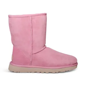 UGG Classic Short II Horizon Pink Boots - Women's